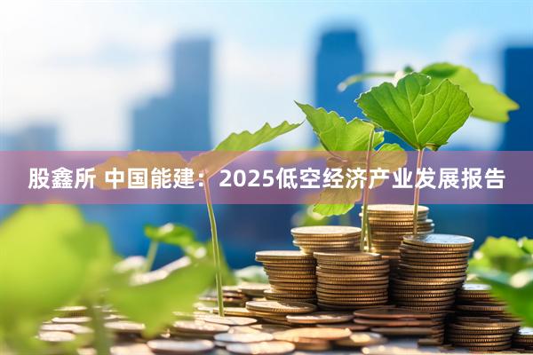 股鑫所 中国能建：2025低空经济产业发展报告