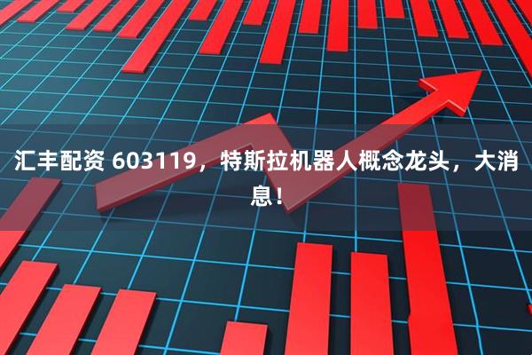 汇丰配资 603119，特斯拉机器人概念龙头，大消息！
