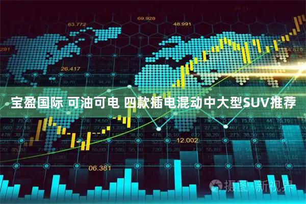 宝盈国际 可油可电 四款插电混动中大型SUV推荐