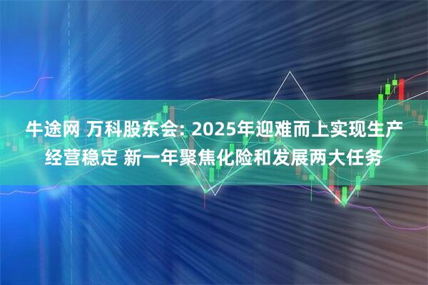 牛途网 万科股东会: 2025年迎难而上实现生产经营稳定 新一年聚焦化险和发展两大任务