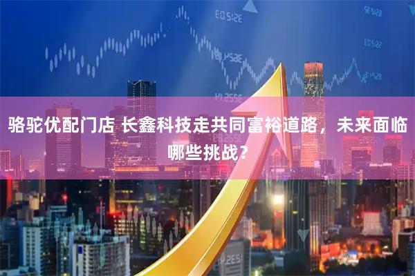 骆驼优配门店 长鑫科技走共同富裕道路，未来面临哪些挑战？