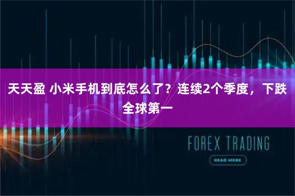 天天盈 小米手机到底怎么了？连续2个季度，下跌全球第一