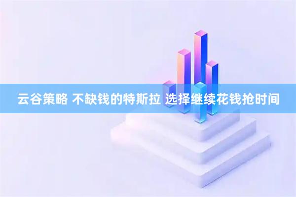 云谷策略 不缺钱的特斯拉 选择继续花钱抢时间