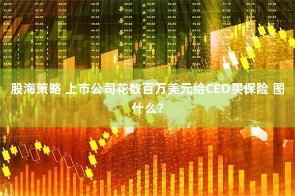 股海策略 上市公司花数百万美元给CEO买保险 图什么？